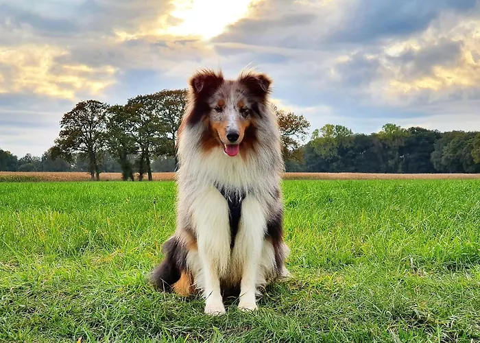Seezeit - Mit Infrarotsauna, Terrasse Direkt Am Wasser Apartman